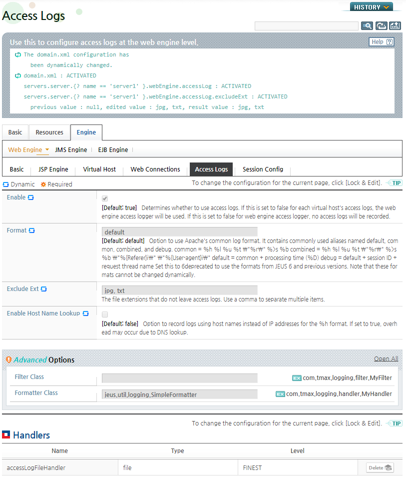 Web Engine Access Logs - Result