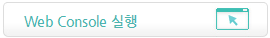 메인 영역 - Web Console 실행