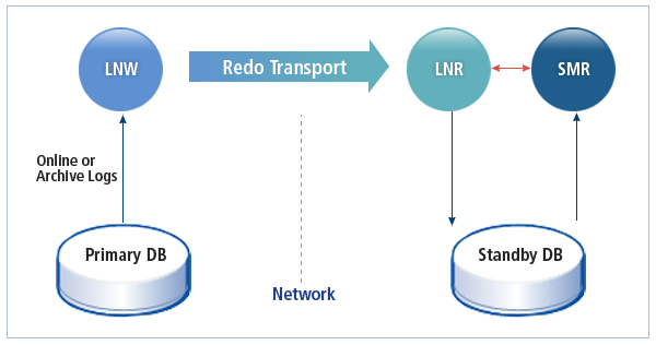 Tibero Standby Cluster의 동작 구조